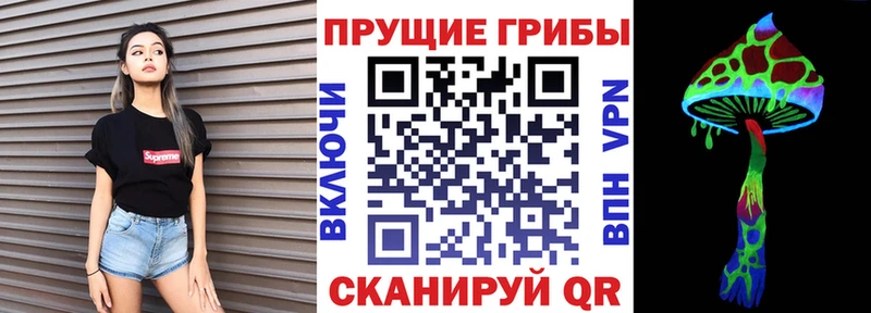 mega маркетплейс  Нелидово  Галлюциногенные грибы GOLDEN TEACHER 